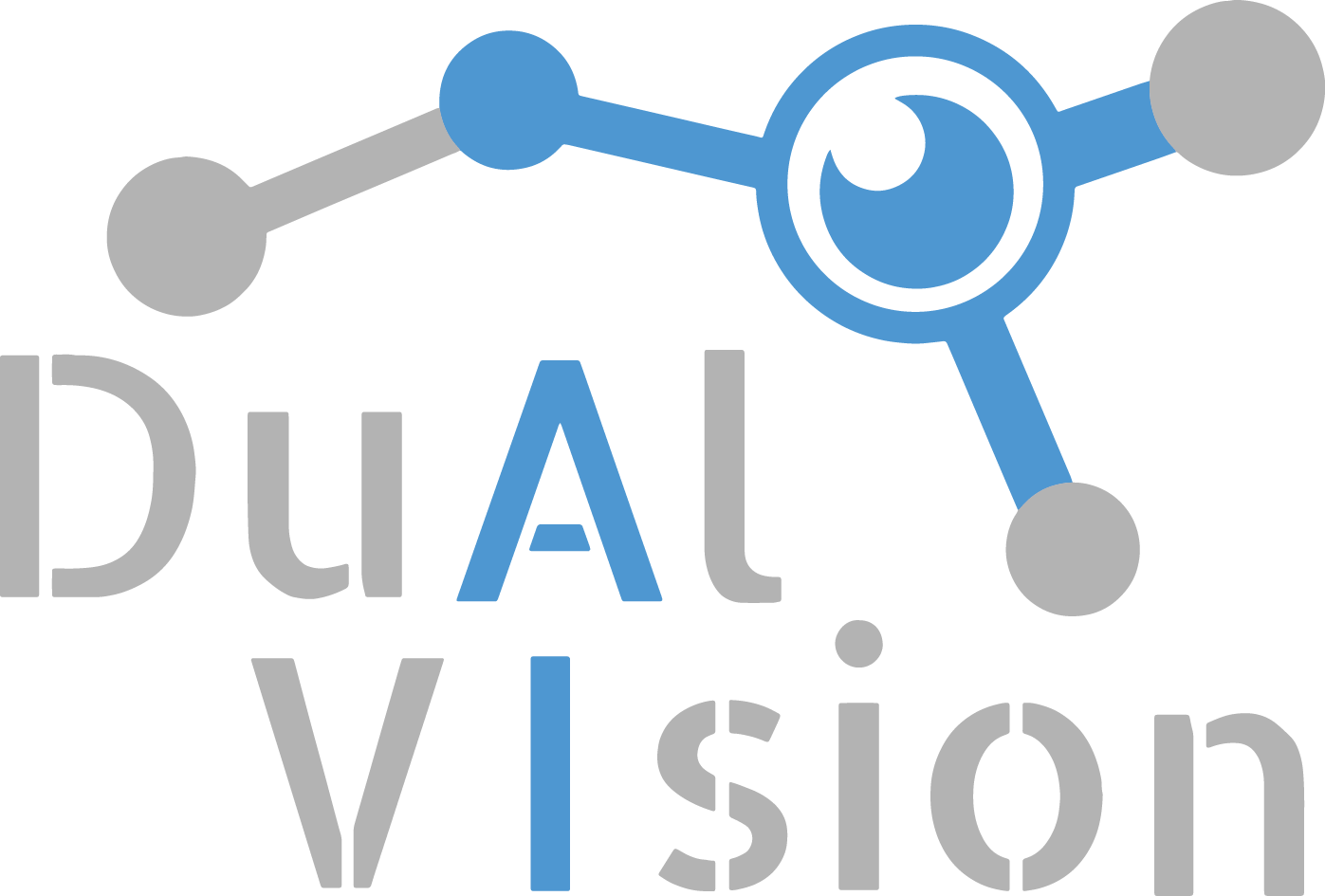 Logo Dual Vision